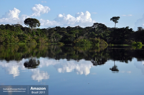 Brazil, Amazon, Siamak Travels 03