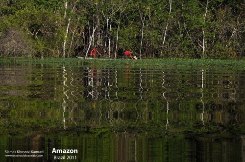 Brazil, Amazon, Siamak Travels 04