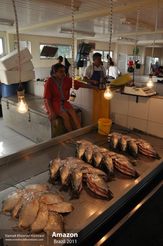 Brazil, Amazon, Siamak Travels 05