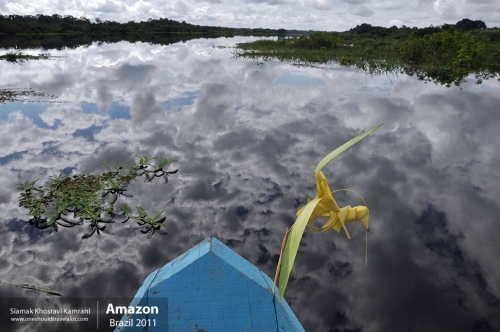 Brazil, Amazon, Siamak Travels 10