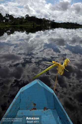 Brazil, Amazon, Siamak Travels 12