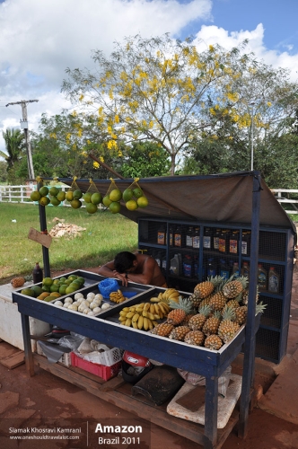 Brazil, Amazon, Siamak Travels 19