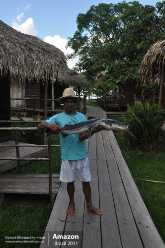 Brazil, Amazon, Siamak Travels 23