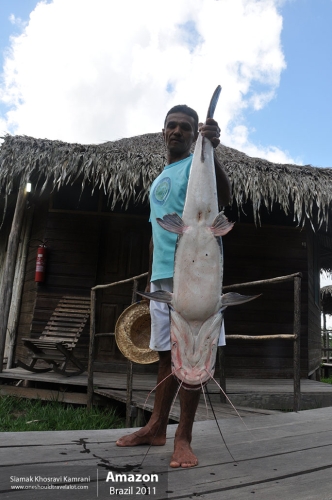 Brazil, Amazon, Siamak Travels 24