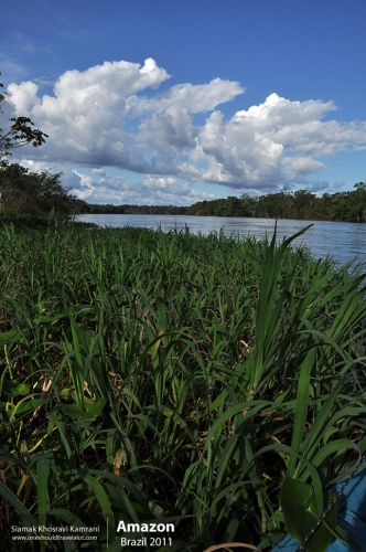 Brazil, Amazon, Siamak Travels 26