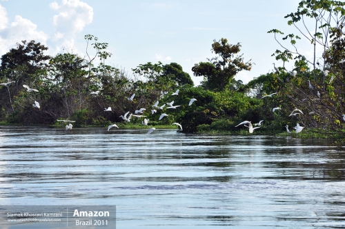 Brazil, Amazon, Siamak Travels 27