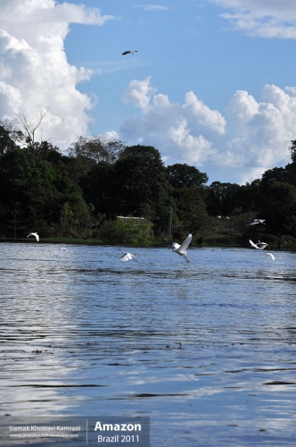 Brazil, Amazon, Siamak Travels 29