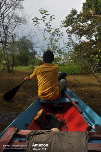 Brazil, Amazon, Siamak Travels 30
