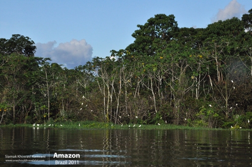 Brazil, Amazon, Siamak Travels 33