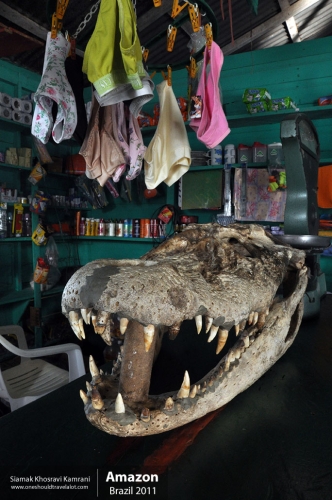 Brazil, Amazon, Siamak Travels 36