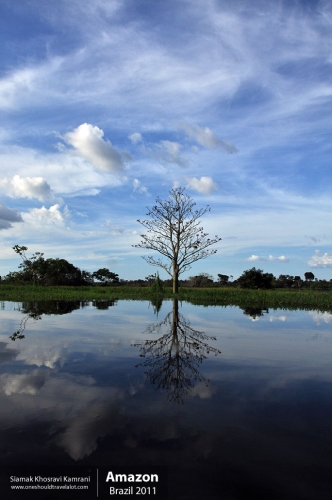 Brazil, Amazon, Siamak Travels 38