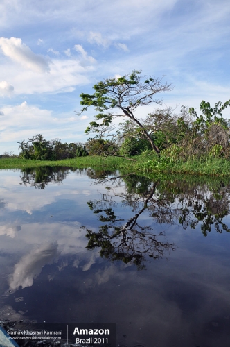 Brazil, Amazon, Siamak Travels 39