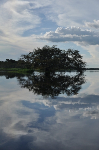 Brazil, Amazon, Siamak Travels 40