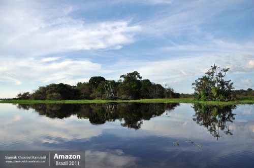 Brazil, Amazon, Siamak Travels 41