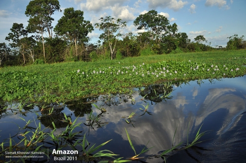Brazil, Amazon, Siamak Travels 44