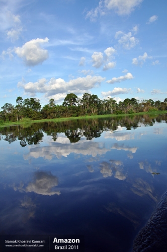 Brazil, Amazon, Siamak Travels 47