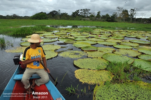 Brazil, Amazon, Siamak Travels 53
