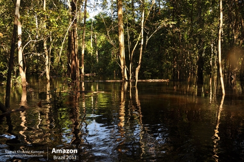 Brazil, Amazon, Siamak Travels 73