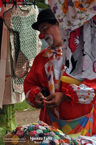 Brazil, Iguazu Falls, Siamak Travels 20