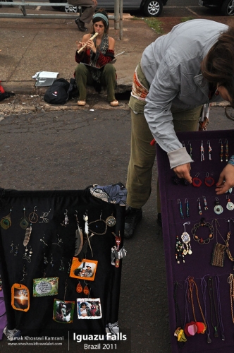Brazil, Iguazu Falls, Siamak Travels 22