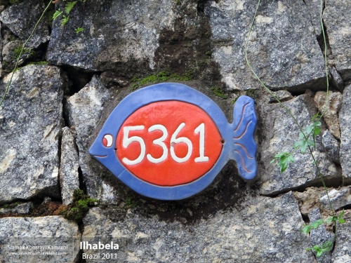 Brazil, Ilhabela, Siamak Travels 4