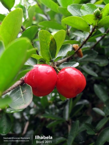 Brazil, Ilhabela, Siamak Travels 6