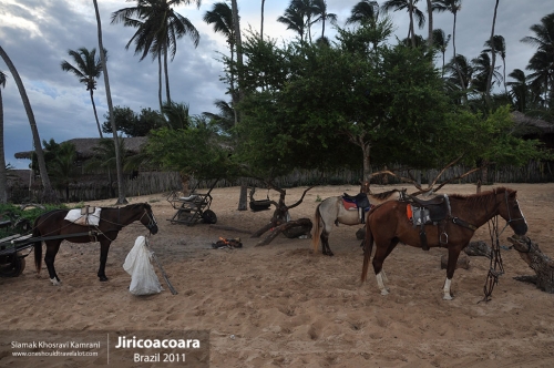 Brazil, Jiricoacoara, Siamak Travels 6