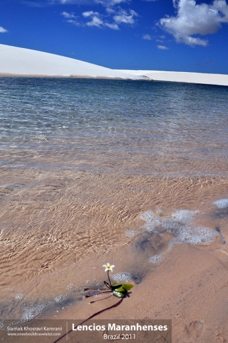 Brazil, Lencios Maranhenses, Siamak Travels 07