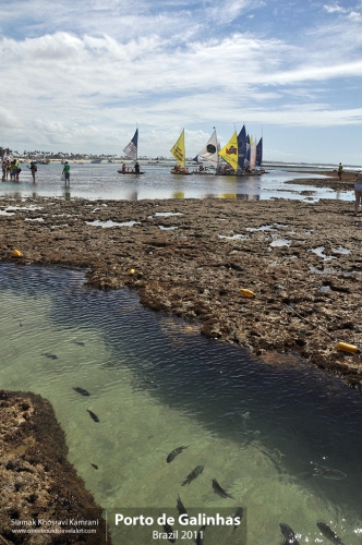 Brazil, Porto de Galinhas, Siamak Travels 5