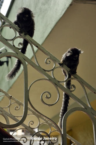 Brazil, Rio de Janeiro, Siamak Travels 20