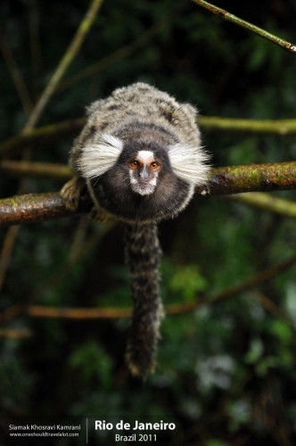 Brazil, Rio de Janeiro, Siamak Travels 21