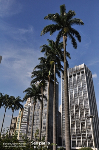 Brazil, Sao Paulo, Siamak Travels 03