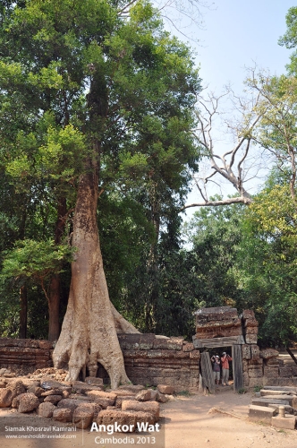 Cambodia, Angkor Wat, Siamak Travels 067