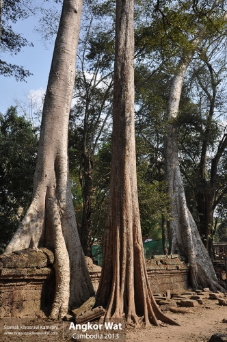 Cambodia, Angkor Wat, Siamak Travels 068