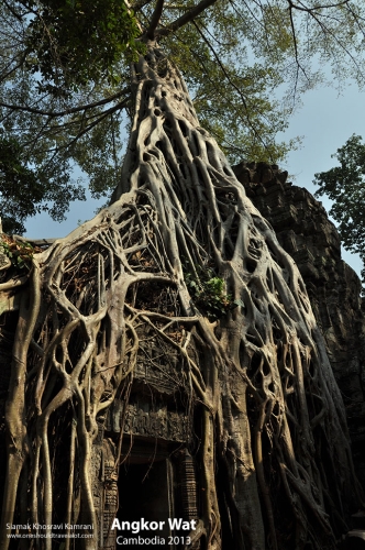 Cambodia, Angkor Wat, Siamak Travels 070