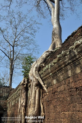 Cambodia, Angkor Wat, Siamak Travels 072
