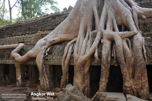 Cambodia, Angkor Wat, Siamak Travels 073