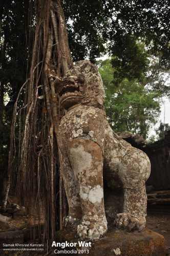 Cambodia, Angkor Wat, Siamak Travels 098