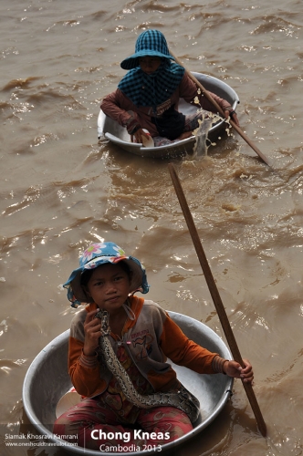 Cambodia, Chong Kneas, Siamak Travels 17