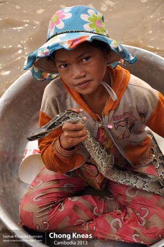 Cambodia, Chong Kneas, Siamak Travels 18
