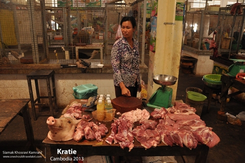 Cambodia, Kratie, Siamak Travels 09