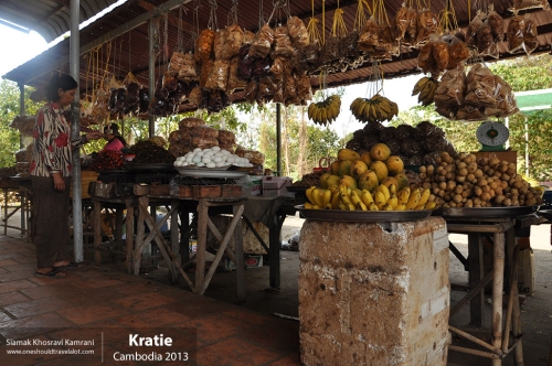 Cambodia, Kratie, Siamak Travels 12