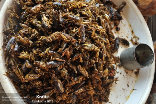 Cambodia, Kratie, Siamak Travels 13