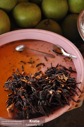 Cambodia, Kratie, Siamak Travels 14