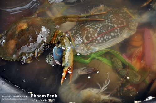 Cambodia, Phnom Penh, Siamak Travels 22