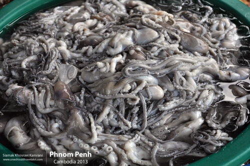 Cambodia, Phnom Penh, Siamak Travels 24