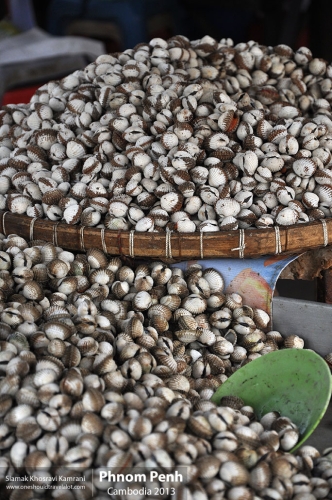 Cambodia, Phnom Penh, Siamak Travels 25