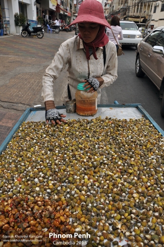 Cambodia, Phnom Penh, Siamak Travels 76