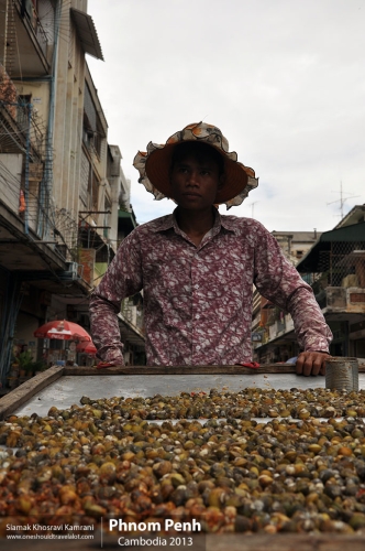 Cambodia, Phnom Penh, Siamak Travels 80