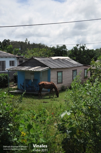 Cuba, Vinales, Siamak Travels 01